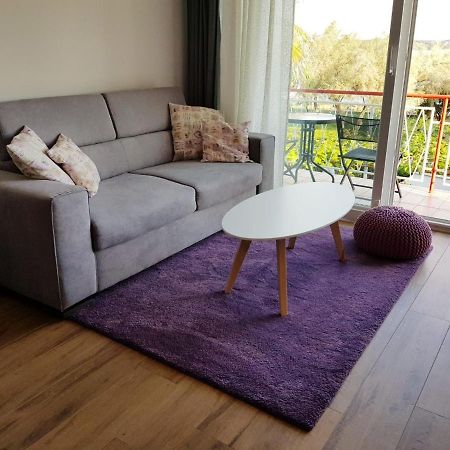 Apartman Luka Novigrad Istria Buitenkant foto