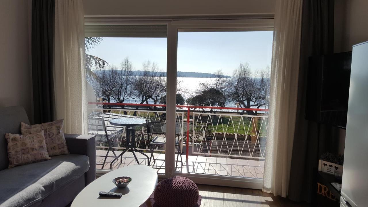 Apartman Luka Novigrad Istria Buitenkant foto