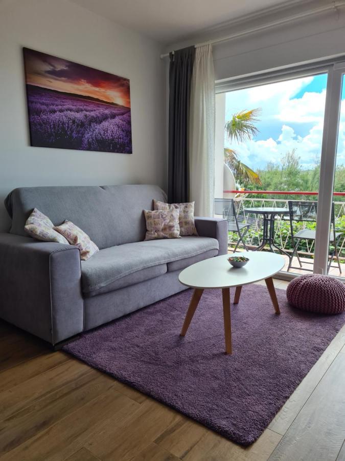 Apartman Luka Novigrad Istria Buitenkant foto